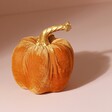 Small Velvet Pumpkin Ornament on Pink Background