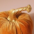 Close Up of Stalk on Small Velvet Pumpkin Ornament on Pink Background