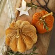 Top View of Small Velvet Pumpkin Ornament with Small Pumpkin
