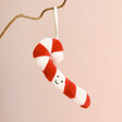 Jellycat Plush Festive Folly Candy Cane Decoration hanging from branch in front of pink background