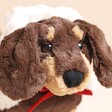 Close up of face on Jellycat Winter Warmer Otto Sausage Dog Soft Toy
