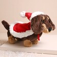 Jellycat Winter Warmer Otto Sausage Dog Soft Toy on top of raised surface with beige backdrop and fake snow