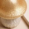 Close Up of Cap of Medium Neutral Glass Mushroom Light