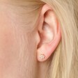 Close up of Gold Sterling Silver Crystal Cluster Flower Stud Earrings On Model