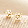 Gold Sterling Silver Crystal Cluster Flower Stud Earrings on Beige Fabric