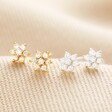 Sterling Silver Crystal Flower Stud Earrings with gold studs on top of neutral coloured fabric
