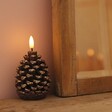 Lit up Wax Pinecone LED Candle next to wooden frame