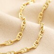 Anchor Chain Necklace in Gold laid out on top of beige coloured fabric