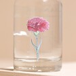 Close Up of January Carnation Personalised Birth Flower 200ml Gin