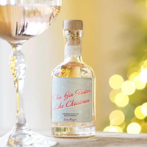 100ml Tastes Like Christmas Spiced Gin on top of counter next to cocktail glass