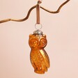 Glass Amber Owl Hanging Decoration Hanging on Pink Background
