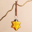 Gold Star Bauble Hanging on a Branch on a Pink Background
