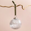 Silver Ribbed Glass Bauble Hanging on Branch on Pink Background 