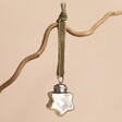 Tiny Silver Star Bauble Hanging from Branch on Pink Background 