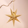 Handmade Gold Glitter Star Hanging Decoration Hanging From Branch on Pink Wall