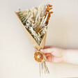 Gingerbread Dried Flower Posy Held by Model Against White Wall