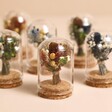 Six Mini Christmas Dried Flower Glass Domes Standing Together on a Beige Background