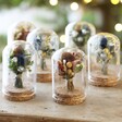 A group of Mini Christmas Dried Flower Glass Domes with christmas tree and lights in background