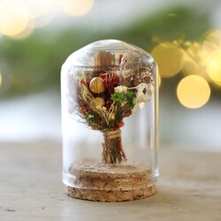 Mini Christmas Dried Flower Glass Dome