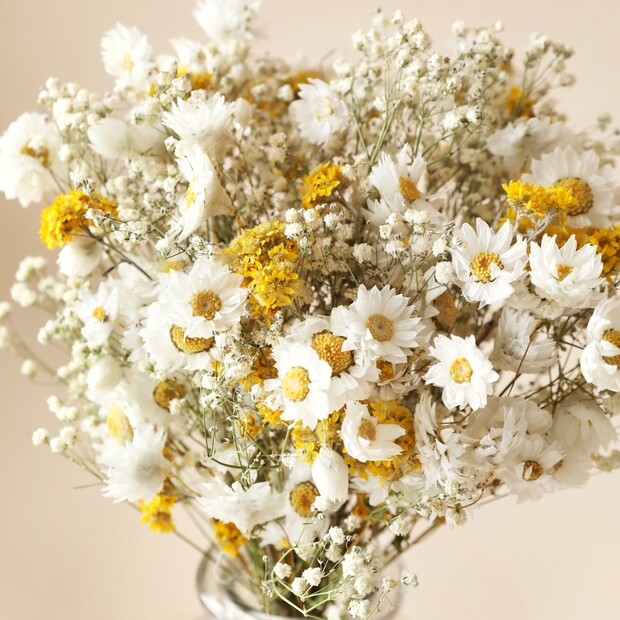 Golden Daisy Dream Dried Flower Bouquet Lisa Angel