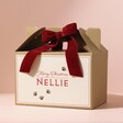Personalised Pet Christmas Gift Box on Pink Surface