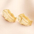 Oversized Feather Stud Earrings in Gold