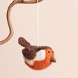 A charming felted wool Robin on a white string