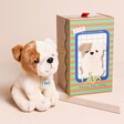 Bertha the American Bulldog Floppy Soft Toy in Gift Box