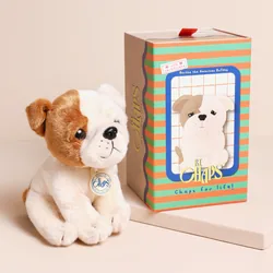 B.T. Chaps Bertha the American Bulldog Floppy Soft Toy in Gift Box