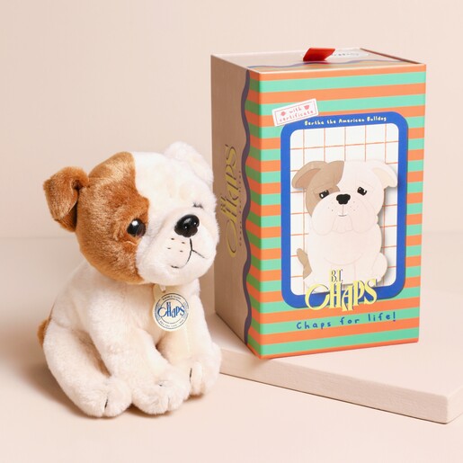 American bulldog teddy discount
