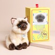 Eddie the Siamese Cat Floppy Soft Toy in Gift Box