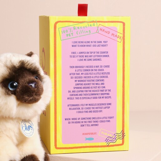 Gift Box for Eddie the Siamese Cat