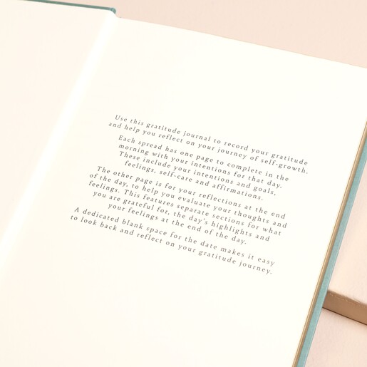 Green Floral Daily Gratitude Journal inside writing