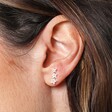 Model Shot for the Cubic Zirconia Star Stud Crawler Earrings in Silver