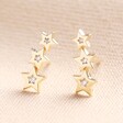 Estella Bartlett Cubic Zirconia Star Stud Crawler Earrings in Gold