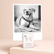 Personalised Labrador Photo Holder