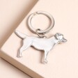 Lancaster & Gibbings Labrador Keyring on a neutral background