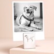 Lancaster & Gibbings Labrador Photo Holder with photo on a neutral background