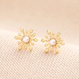 A pair of gold snowflake stud earrings with pearl centres on a beige background