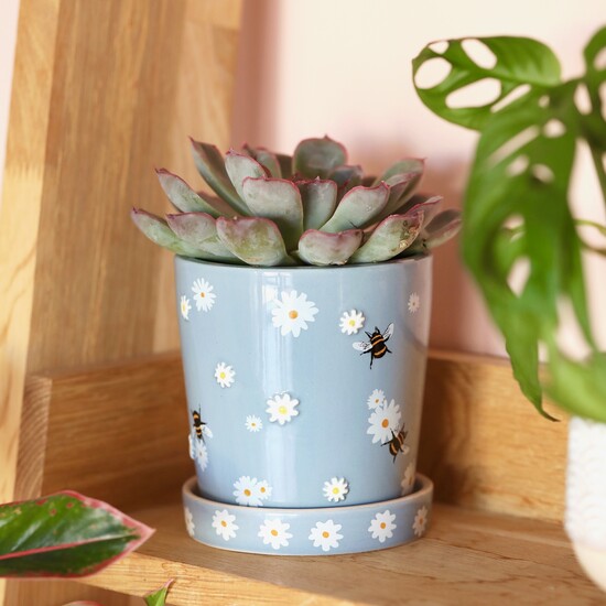 Small Blue Daisy Bee Ceramic Planter and Tray