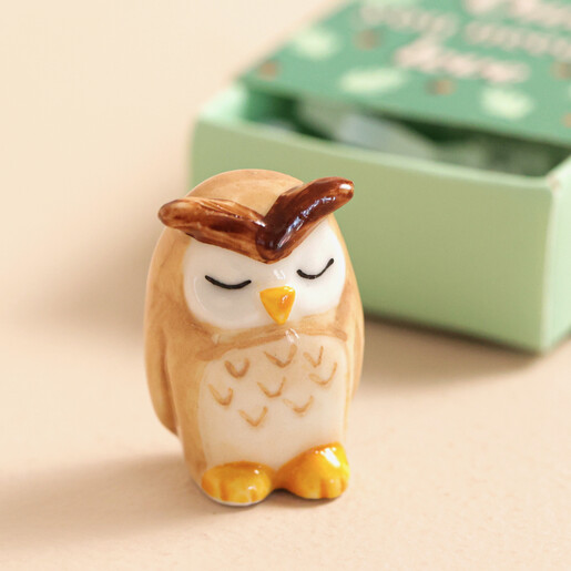 Close Up  Close Up of Tiny Matchbox Ceramic Owl Token
