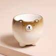 Ceramic Bear Egg Cup against beige background