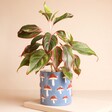 A blue ceramic planter with a repeating embossed toadstool pattern