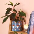 Blue Embossed Toadstool Ceramic Planter