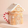 Gingerbread House Ceramic Mug with Lid