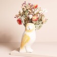 Ceramic Owl Vase on a Beige Background