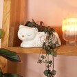 Pink and White Floral Sleeping Cat Planter on a shelf with plant inside