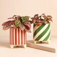 Red and White Candy Cane Striped Mini Planter