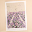 Jenna Crush Norfolk Lavender Unframed A3 Art Print