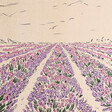 Jenna Crush Norfolk Lavender Unframed A3 Art Print